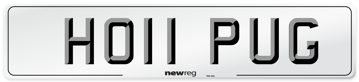 HO11 PUG Number Plate from New Reg